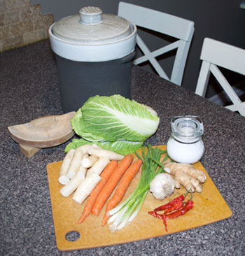 ferment-pot-vegies
